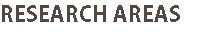 RESEARCH AREAS