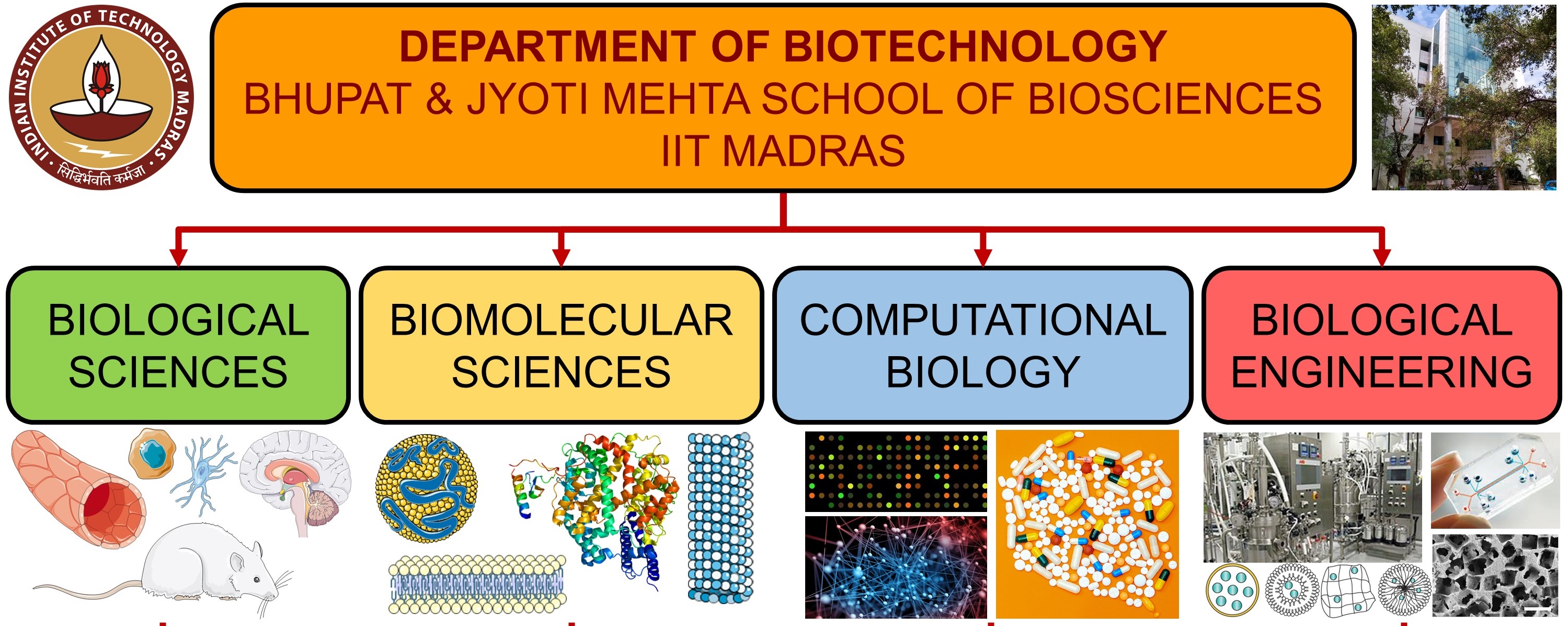 IITM-Department of Biotechnology